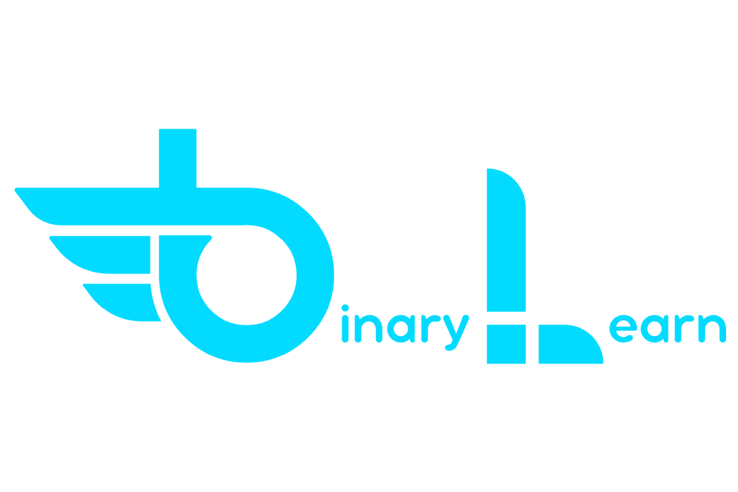 BINARY LEARN LOGO